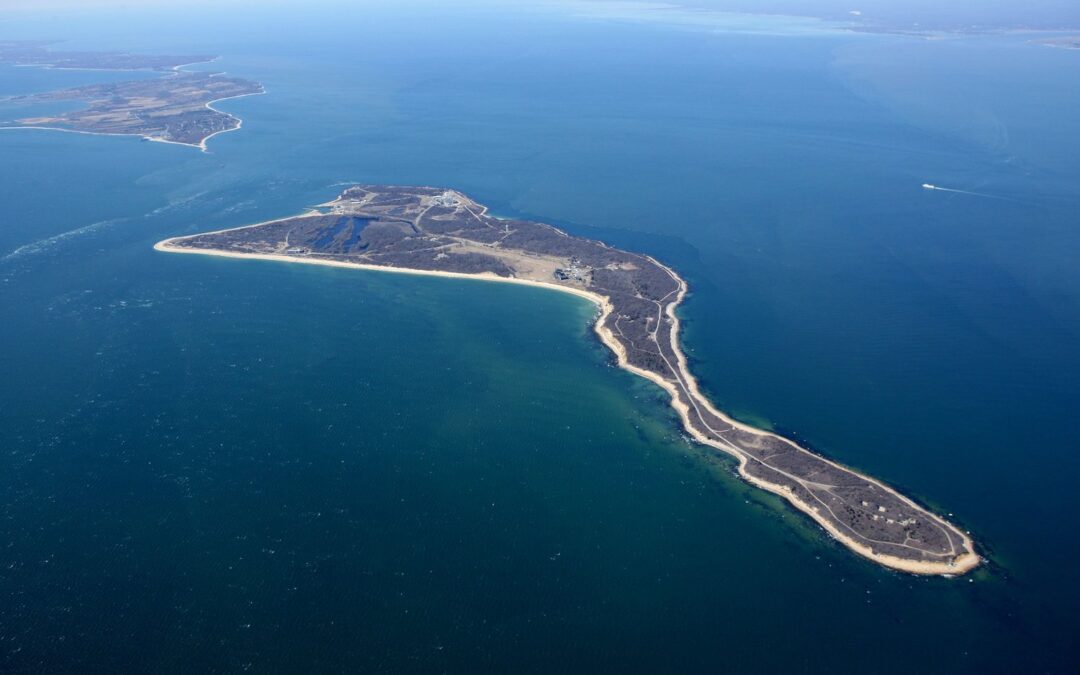 Plum Island: A Hidden Ecological Treasure