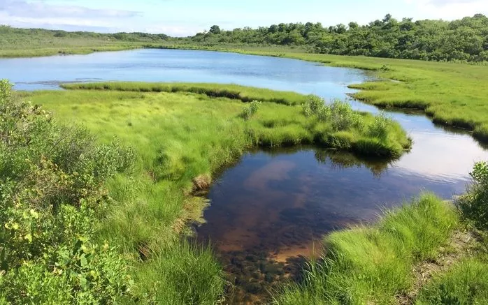 Orient Water Resources Study Is Finally Here!