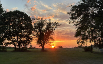 Fall 2025 Newsletter